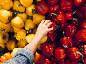 person holding bell pepper